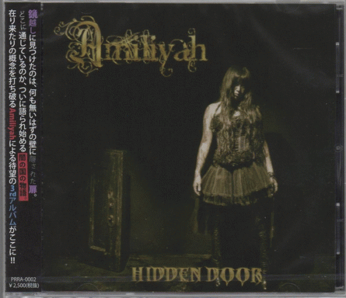 Amiliyah : Hidden Door